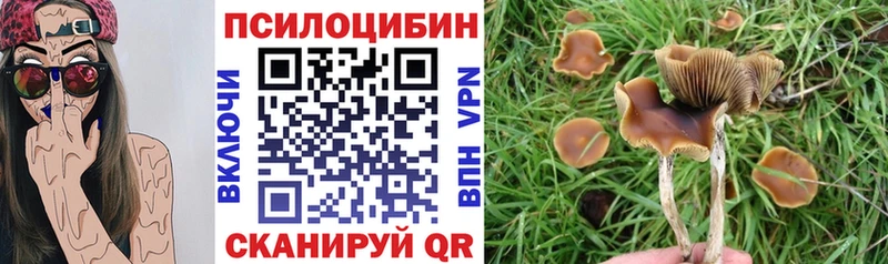 Купить  Якутск  Псилоцибиновые грибы Magic Shrooms 